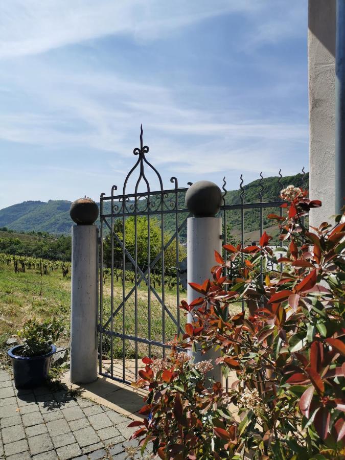 Apartament Weingut Amlinger&Sohn Neef Zewnętrze zdjęcie